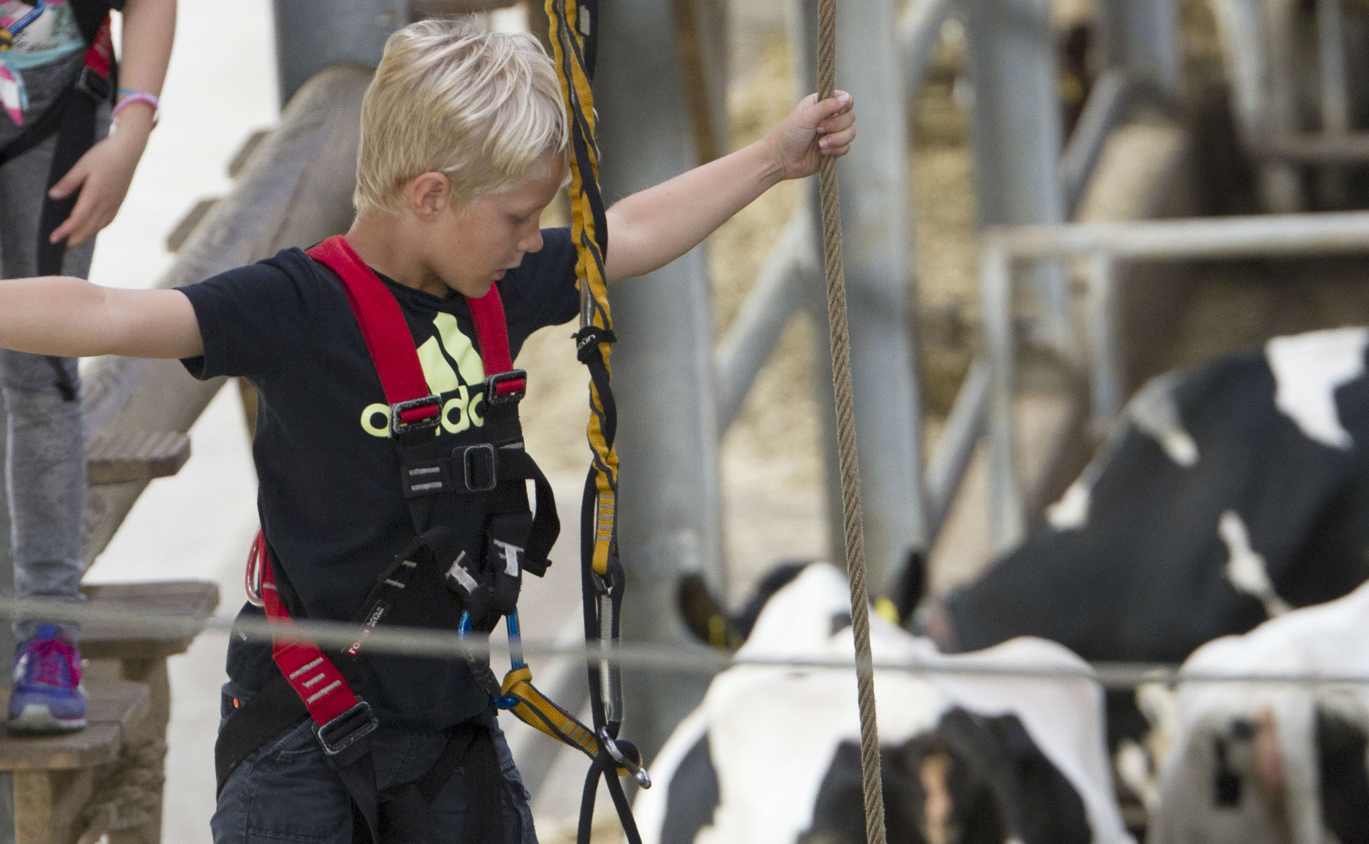 Koe en jongen Leekzicht aangepast Koe en jongen Leekzicht aangepast