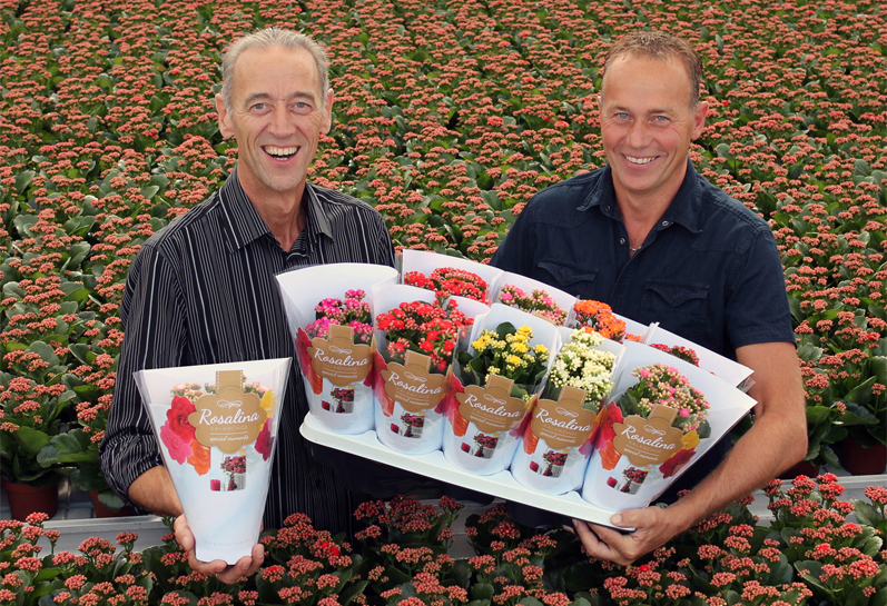 Aad-en-Hans-van-der-Knaap-KP-Holland.jpg Aad-en-Hans-van-der-Knaap-KP-Holland.jpg