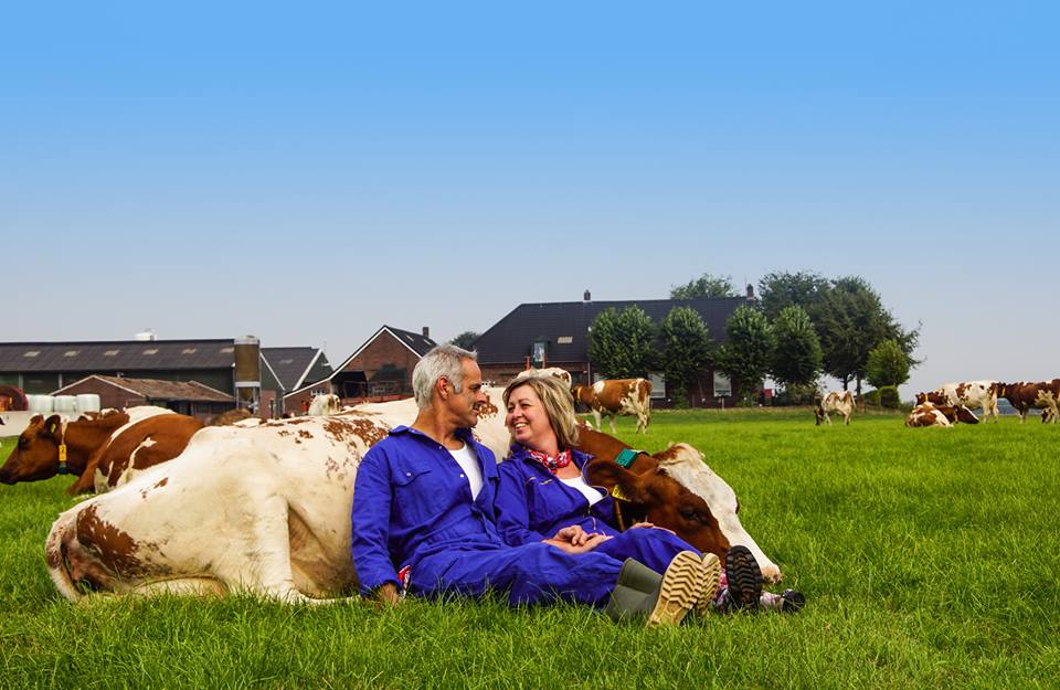 Het Hobbyschuurtje Het Hobbyschuurtje