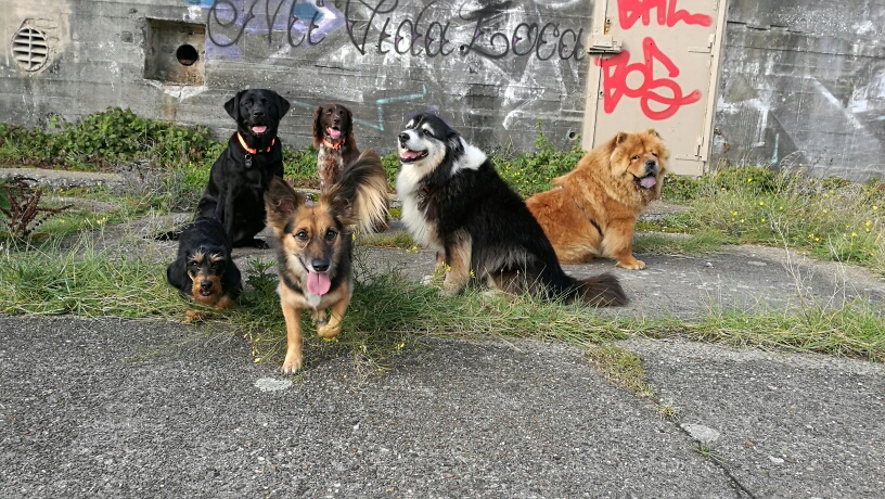 klok.jpg klok.jpg