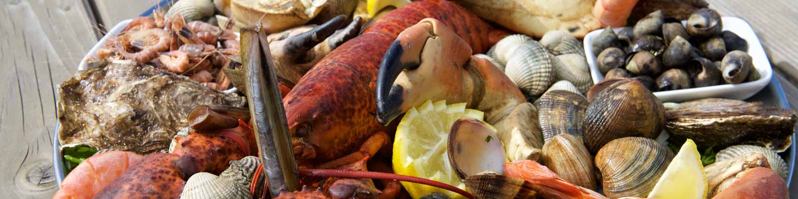 Seafarm Seafarm